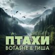 Музыка Botashe - Птахи (feat. Тиша)