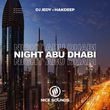 Музыка DJ Jedy - Night Abu Dhabi (feat. Hakdeep)