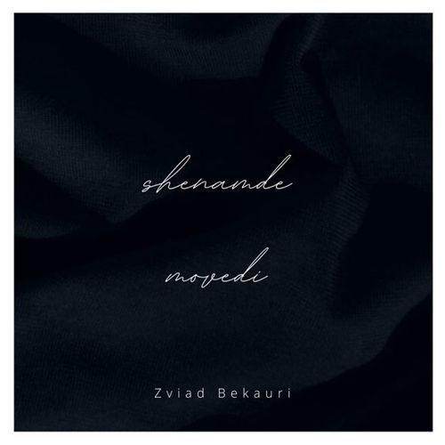 Музыка Zviad Bekauri - Shenamde Movedi (Zviad Bekauri Remix)