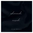 Музыка Zviad Bekauri - Shenamde Movedi (Zviad Bekauri Remix)