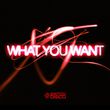 Музыка Switch Disco - What You Want