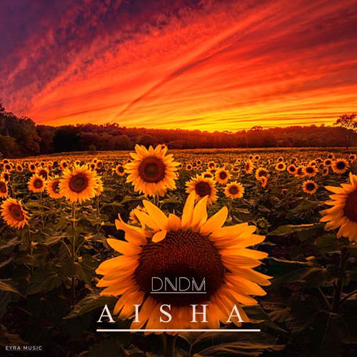 Музыка Dndm - Aisha