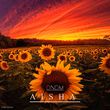 Музыка Dndm - Aisha