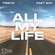 Музыка Tiesto - All My Life (feat. Fast Boy)