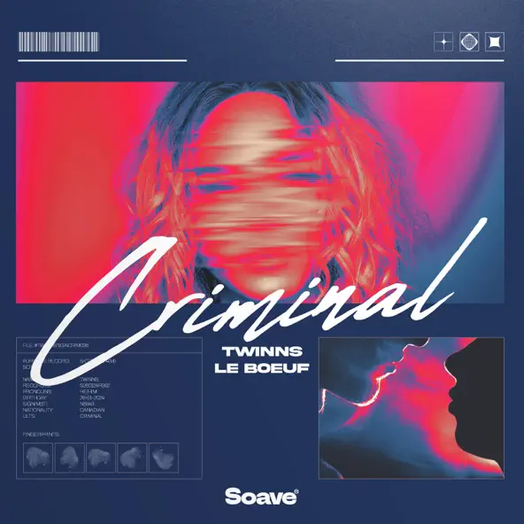 Музыка Twinns - Criminal (feat. Le Boeuf)