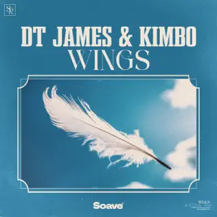 Музыка DT James - Wings (feat. Kimbo)