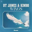 Музыка DT James - Wings (feat. Kimbo)
