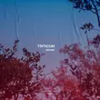 Музыка Triticum - Wrong