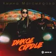 Музыка Амина Магомедова - Дикое Сердце