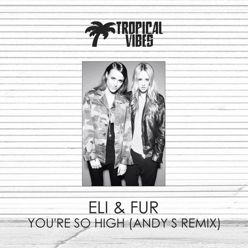 Музыка Eli And Fur - You're So High (Andy S Remix)