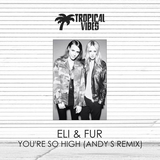 Музыка Eli And Fur - You're So High (Andy S Remix)