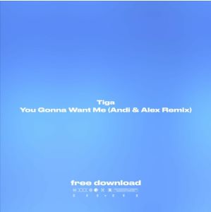 Музыка Tiga - You Gonna Want Me (Andi & Alex Remix)