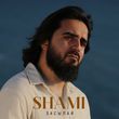 Музыка Shami - Засыпай