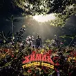 Музыка Thomas Mraz - Химия