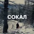Музыка NaviBand - Сокал