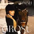 Музыка Grosu - Туман (Iksiy Version)