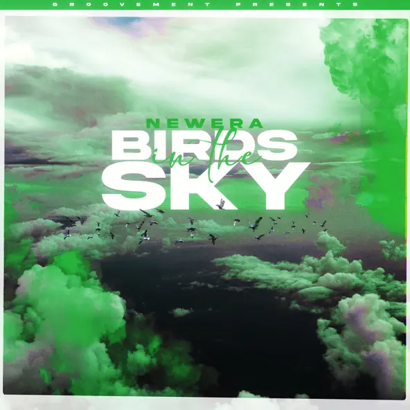 Музыка Newera - Birds In The Sky
