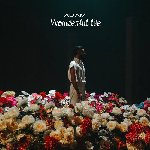 Музыка Adam - Wonderful Life