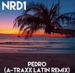 Музыка Nrd1 - Pedro (A-traxx Latin Remix)