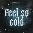 Музыка Carpetman - Feel So Cold