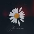 Музыка HammAli & Navai - Лепесток (feat. Loc-Dog)
