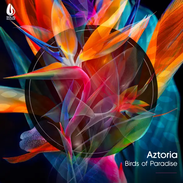 Музыка Aztoria - Birds Of Paradise (Original Mix)