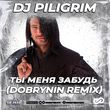 Музыка DJ Piligrim - Ты Меня Забудь (Dobrynin Remix)