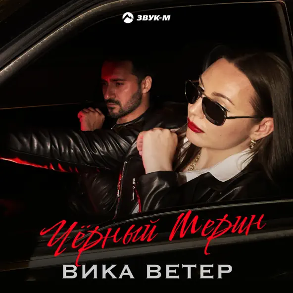Музыка Вика Ветер - Чёрный Мерин