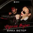 Музыка Вика Ветер - Чёрный Мерин