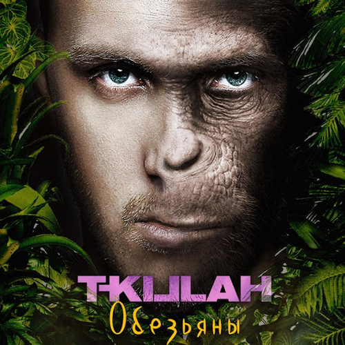 Музыка T-Killah - Обезьяны
