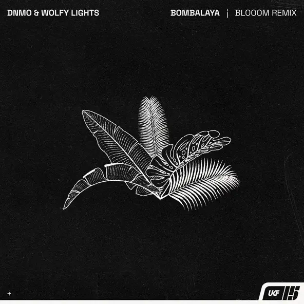 Музыка Dnmo & Wolfy Lights - Bombalaya (Blooom Remix)
