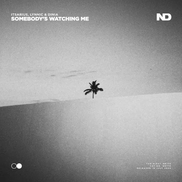 Музыка Itsarius & Lynnic feat. Dinia - Somebody's Watching Me (Extended Mix)