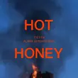 Музыка Tiësto - Hot Honey (feat. Alana Springsteen)