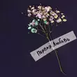 Музыка Jazzdauren - Первая Любовь