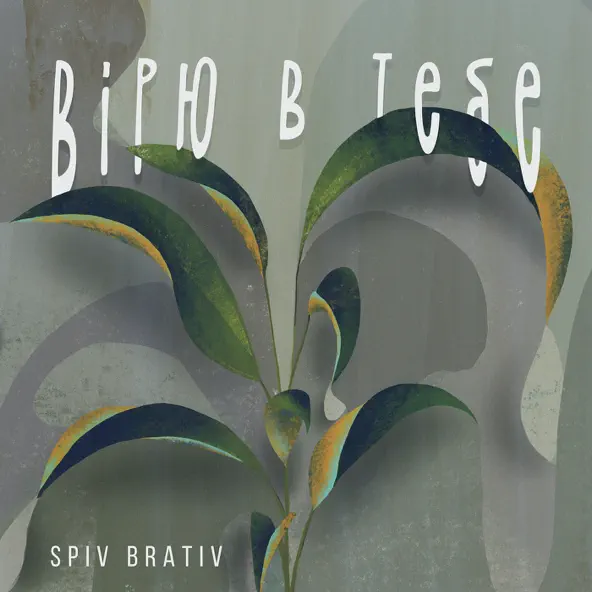 Музыка Spiv Brativ - Вірю В Тебе