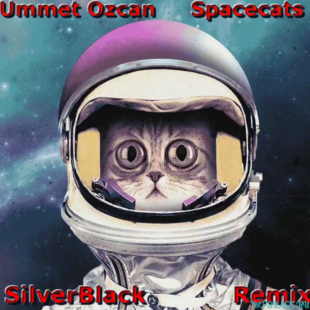 Музыка Ummet Ozcan - Spacecats (SilverBlack Remix)