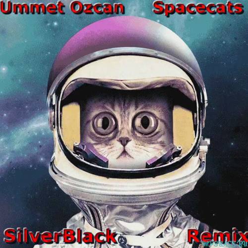 Музыка Ummet Ozcan - Spacecats (SilverBlack Remix)