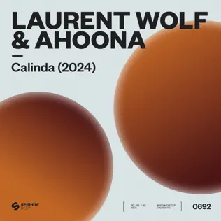 Музыка Laurent Wolf - Calinda (feat. Ahoona)
