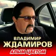 Музыка Владимир Ждамиров - Алым Цветом