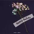 Музыка Jazzdauren - Первая Любовь (Index-1 Remix)