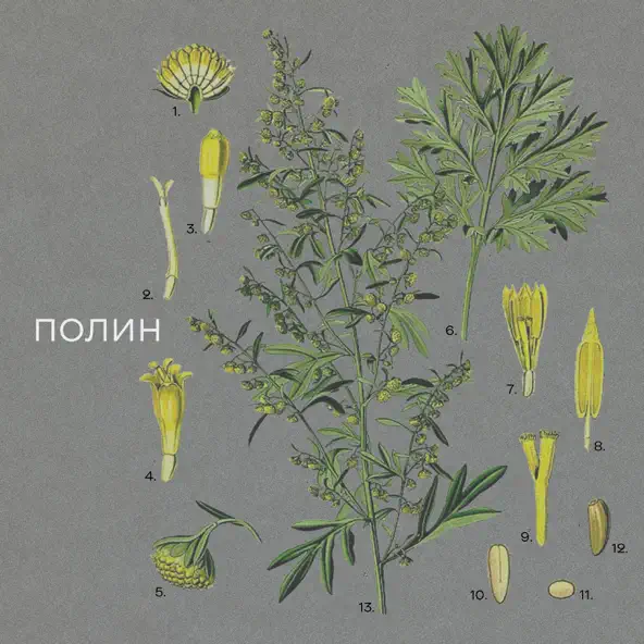 Музыка Нікіта Кісельов - Полин
