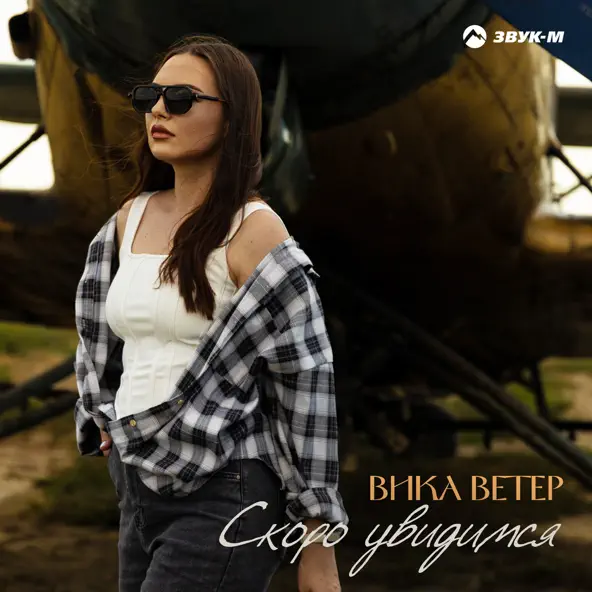 Музыка Вика Ветер - Скоро Увидимся