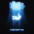 Музыка Kaskade - Tears Don't Fall (feat. Enisa)