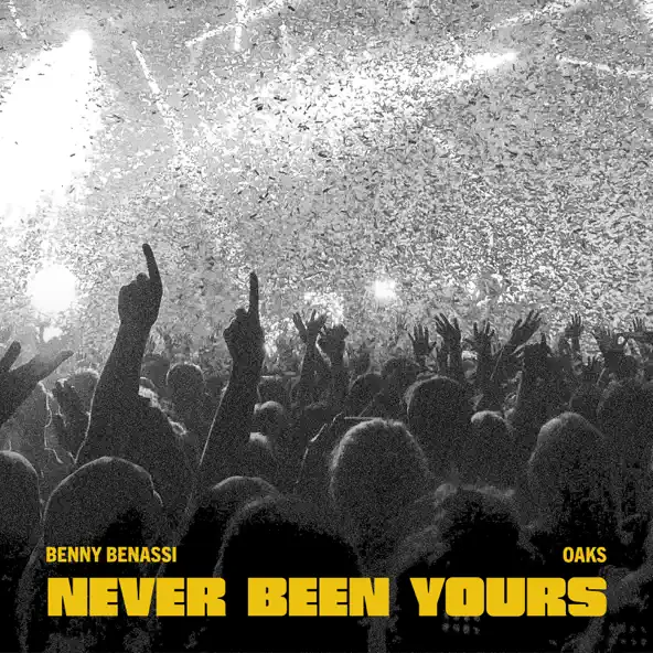 Музыка Benny Benassi - Never Been Yours (feat. Oaks)