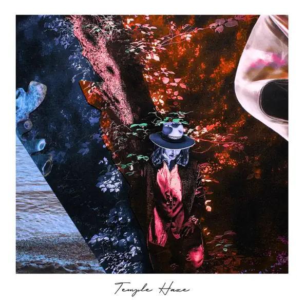 Музыка Temple Haze - The Shadows Valley (Harry Charles Remix)
