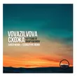 Музыка VovaZiLvova & Схожа - Чуттєво Й Зворушливо (Svitlo Remix)
