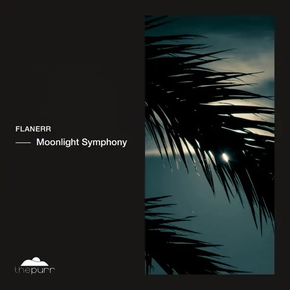 Музыка Flanerr - Moonlight Symphony (Original Mix)