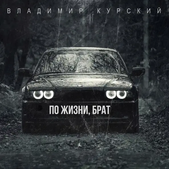 Музыка Владимир Курский - По Жизни Брат