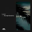 Музыка Flanerr - Moonlight Symphony (Original Mix)