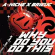 Музыка A-Niche - Why Do You Do This (feat. Brieuc)